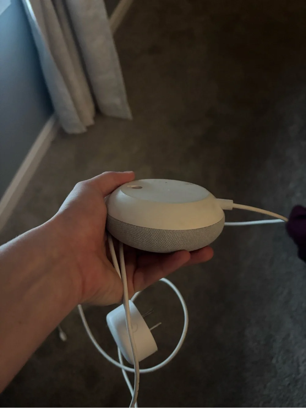 Google home with Light Gray Fabric
